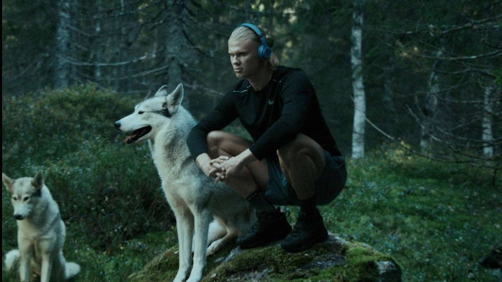 这种情况下 这种情况下